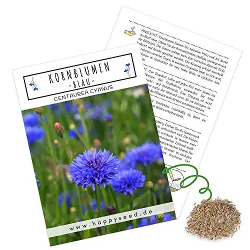 Kornblumen-Samen HappySeed Kornblumen Samen, 1000 Korn