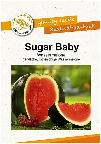 Wassermelonen-Samen Gärtner’s erste Wahl! bobby-seeds.com