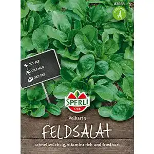 Feldsalat-Samen Sperli 82668 Premium Feldsalat Samen Vollhart 3
