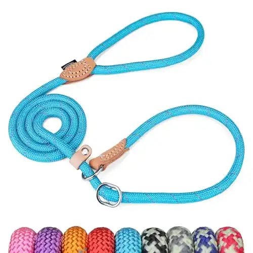 Retrieverleine Grand Line reflektierende Hundeleine, 1,5 m Blau