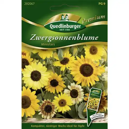 Sonnenblumen-Samen Quedlinburger, Zwergsonnenblumen