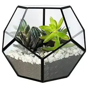 Pflanzen-Terrarium BELLE VOUS 18cm Schwarzes Geometrisch