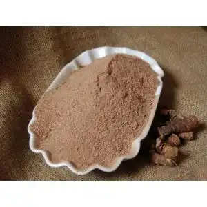 Galgantwurzel Naturix24 Pulver, gemahlen 250g-Beutel