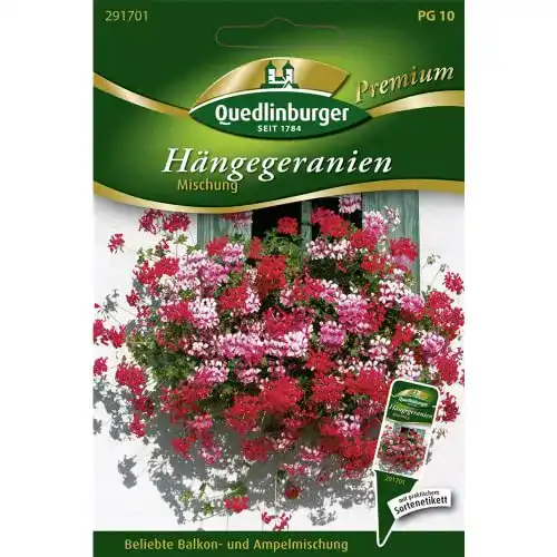 Geranien-Samen Quedlinburger Hängegeranien, Mischung