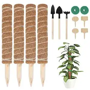Moosstab FINEW 4 Stück 40cm Pflanzstab Kokos, 4 Pflanzschilder