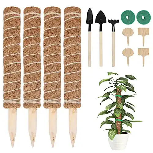 Moosstab FINEW 4 Stück 40cm Pflanzstab Kokos, 4 Pflanzschilder