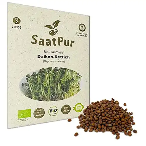 Rettich-Samen SaatPur Bio Keimsprossen, Daikon-Rettich Sprossen