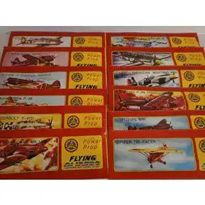 Wurfgleiter Schnooridoo 10 x Styroporflieger Flugzeug