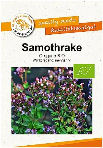 Oregano-Samen Gärtner’s erste Wahl! bobby-seeds.com Oregano