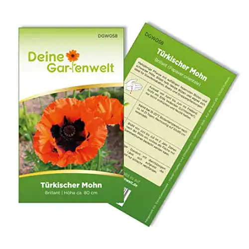 Mohn-Samen Deine Gartenwelt Türkischer Mohn Brillant Samen