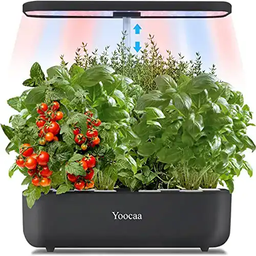 Smart Garden Yoocaa Hydroponik Kräutergarten, 12 Hülsen