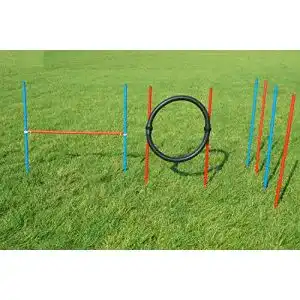 Agilitygeräte Wuzzmann Agility-Beginner-Set ROT/BLAU