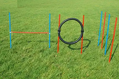 Agilitygeräte Wuzzmann Agility-Beginner-Set ROT/BLAU