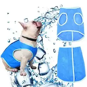 Kühlweste Hund SCOBUTY Hundeweste Sommer