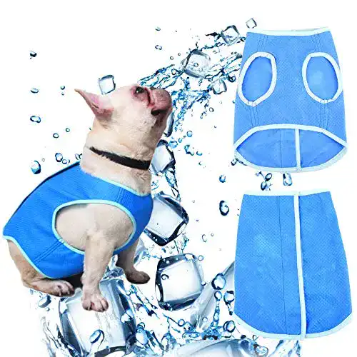 Kühlweste Hund SCOBUTY Hundeweste Sommer
