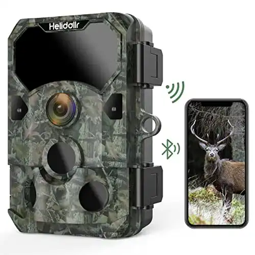 Wildkamera-mit-App Helidallr Wildkamera 4K 48MP 30FPS H265