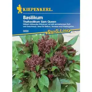 Basilikum-Samen Kiepenkerl Basilikum Thaibasilikum Siam Queen