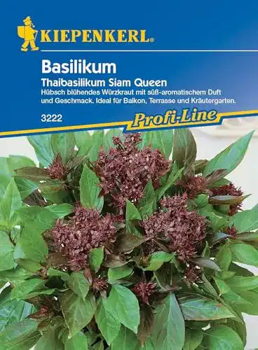 Basilikum-Samen Kiepenkerl Basilikum Thaibasilikum Siam Queen