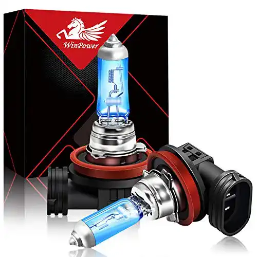 H8-Birne Winpower Halogen Scheinwerferlampen