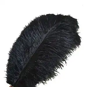 Deko-Federn Sowder 10pcs Strauß-Federn 30-35cm, schwarz