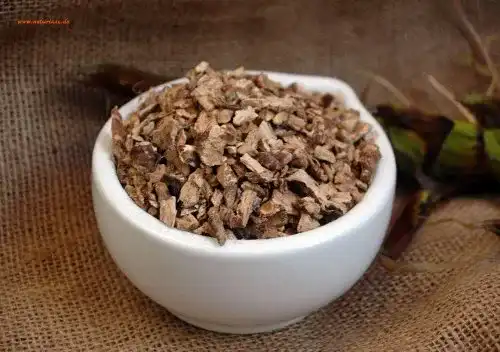 Kalmuswurzel Naturix24, Kalmustee , geschnitten, 100 g Beutel