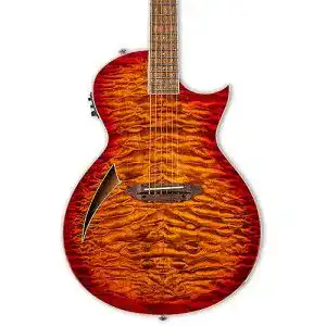ESP-Gitarren ESP Guitars ESP LTD TL-6 Akustische E-Thinline