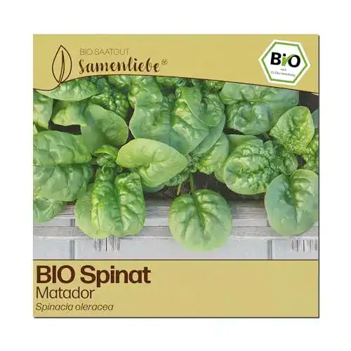 Spinat-Samen Samenliebe BIO Spinat Samen alte Sorte Matador