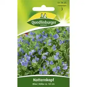 Natternkopf-Samen Quedlinburger Natternkopf, Blau