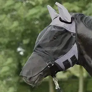 Fliegenmaske Pferd EVERLINE by Busse BUSSE everline Fliegenmaske