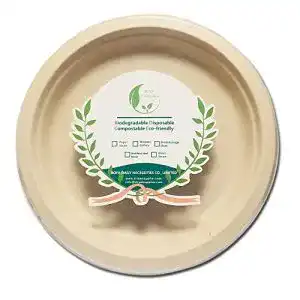 Zuckerrohr-Teller BOFA Eco Tableware 25 Stück 23 cm Teller