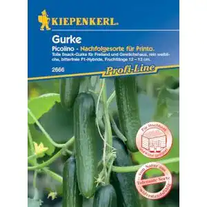 Gurken-Samen Kiepenkerl, Gurke Picolino F1
