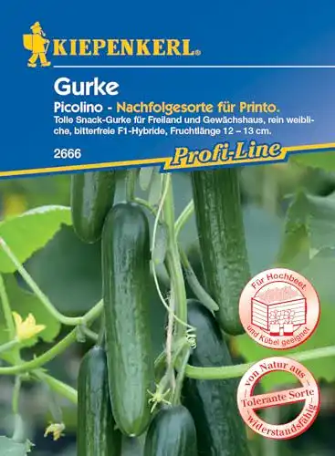 Gurken-Samen Kiepenkerl, Gurke Picolino F1