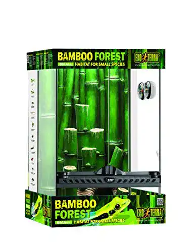 Paludarium Exo Terra Terrarium aus Glas, Bamboo Forest Set