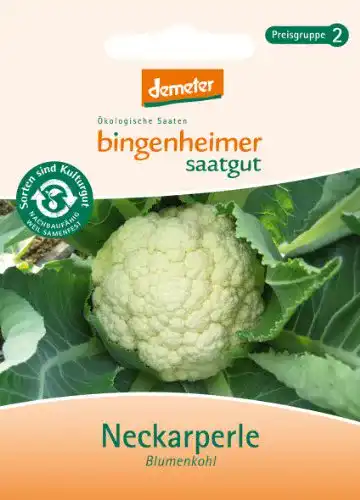 Blumenkohl-Samen Bingenheimer Saatgut Neckarperle 1 Tüte