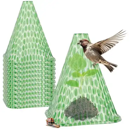 Pflanzenhut com-four ® 10x Sonnenhut für Pflanzen