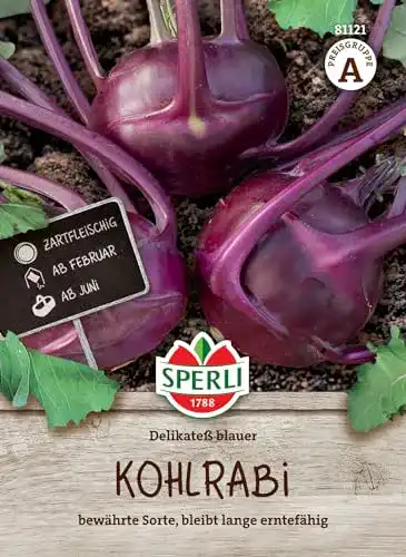 Kohlrabi-Samen Sperli 81121 Premium Delikateß Blauer