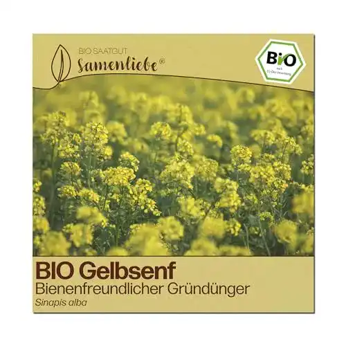 Senf-Samen Samenliebe BIO Gelbsenf Samen Bienenkönigin