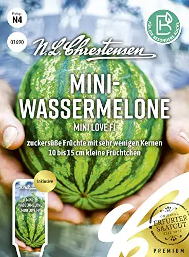 Wassermelonen-Samen N.L.Chrestensen, Mini love F1