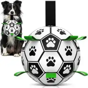 Hundeball HETOO Interaktives Hundespielzeug, mit Greif-Laschen