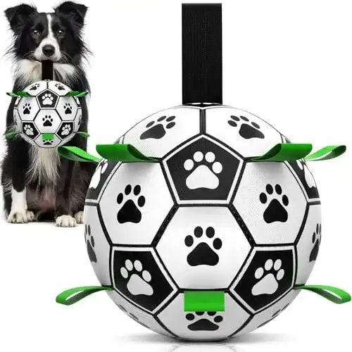 Hundeball HETOO Interaktives Hundespielzeug, mit Greif-Laschen