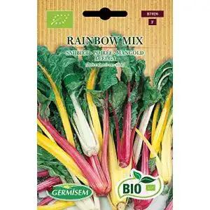 Mangold-Samen Germisem Mangold RAINBOW MIX, ECBIO7026