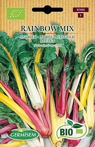 Mangold-Samen Germisem Mangold RAINBOW MIX, ECBIO7026