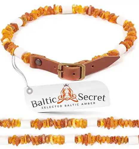 Keramik-Halsband Hund Baltic Secret Bernsteinkette Hund