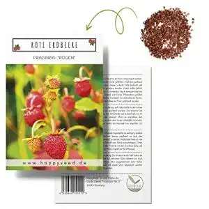 Erdbeer-Samen HappySeed Erdbeeren Samen (Fragaria)