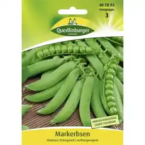 Erbsen-Samen Quedlinburger Markerbse, Gloriosa