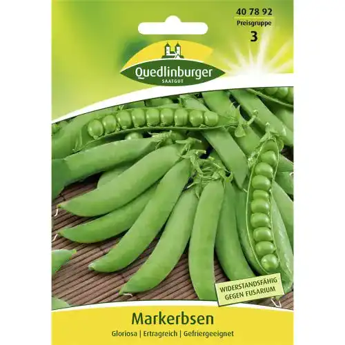 Erbsen-Samen Quedlinburger Markerbse, Gloriosa