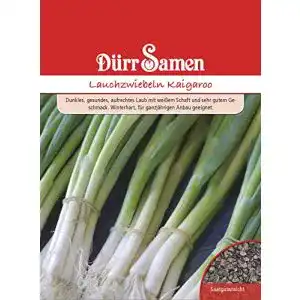 Wintergemüse-Samen Dürr-Samen Lauchzwiebeln winterhart