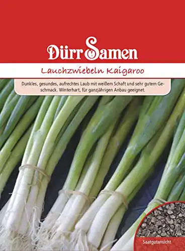 Wintergemüse-Samen Dürr-Samen Lauchzwiebeln winterhart