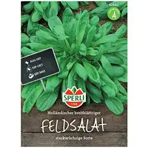 Feldsalat-Samen Sperli Premium Holländischer Breitblättriger