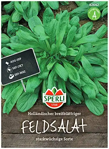 Feldsalat-Samen Sperli Premium Holländischer Breitblättriger